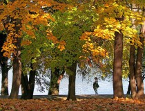 Lugares recomendables para conocer Bucarest