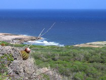 Parque Nacional de Christoffel