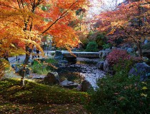 Eventos de fuegos artificiales para disfrutar en Japón en verano