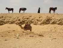 Egipto mejora las instalaciones de las pirámides de Giza