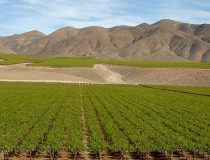Chile busca mejorar competitividad de empresas turísticas