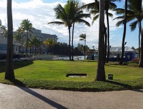 Puerto Rico evita que el virus Zika dañe al Turismo