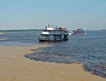 Las 5 visitas para disfrutar en Manaos