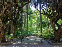 Conoce el Jardín de Pruebas de Hamma