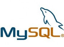 MySQL 5.1