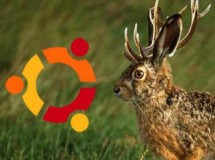Ubuntu 9.04 “Jaunty Jackalope” Beta