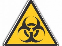 La mayoría de los virus dejan de ser dañinos después de 24 horas