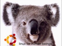10 novedades de Karmic Koala