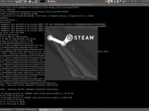 Es un hecho, Steam estará disponible para Linux