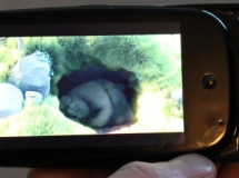 Ahora también MPlayer está disponible para webOS