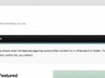 Twenty Eleven será el próximo theme por defecto de WordPress
