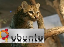 Ubuntu presenta su nueva versión 11.10
