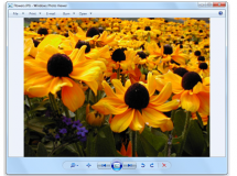 Alternativas superiores a: Visualizador de fotos de Windows