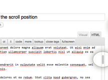 Manten la posición del scroll del editor de WordPress