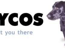 Lycos planea renovación en 2013