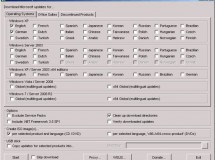 Windows Offline: bajar todas las actualizaciones y parches para Windows