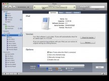 iTunes Portable, lleva tu música a todas partes