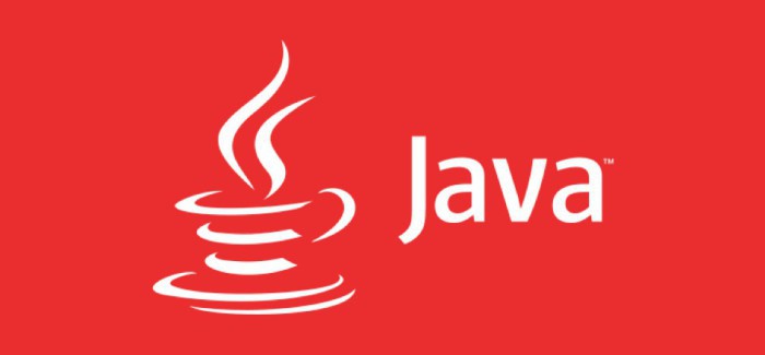 Oracle moderniza Java: Disponible la versión 9