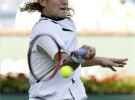 David Ferrer sube un puesto en la clasificación de la ATP