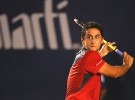 Nicolas Almagro jugará la final del Open Mexicano de Tenis