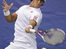 Torneo de New Haven: Verdasco gana en individuales, Llagostera y Martínez en dobles