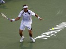 David Ferrer sustituirá a Tsonga en el torneo de exhibición de Abu Dhabi