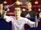 Copa Davis: Andy Murray renuncia a participar con Gran Bretaña en la primera eliminatoria