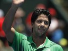 Kooyong Classic: Verdasco barre a Djokovic, Soderling y Del Potro, lesionados y duda para el Open de Australia
