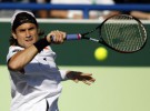 Roger Federer derrota a David Ferrer y se hace con el tercer puesto en Abu Dhabi