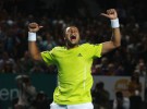 Open de Australia 2010: Jo-Wilfried Tsonga sorprende a Djokovic y se verá con Federer en semifinales