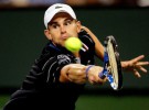 Indian Wells 2010: Roddick elimina a un Robredo que no podrá acompañar a Nadal en semifinales