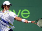 Masters Miami 2010: horarios del Verdasco-Berdych y Youzhny-Soderling y de las semis Williams-Bartoli y Henin-Clijsters