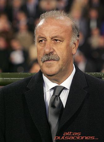 Del Bosque seguirá siendo seleccionador de España, ¿error o acierto?