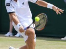 Wimbledon 2010: Nadal, Ferrer, Soderling y Tsonga acceden a octavos de final