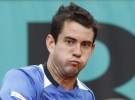 Eastbourne: García-López y Llodra a semifinales;  Hertogenbosch:  Becker y Malisse a semifinales