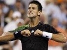 Torneo de Maestros 2010: Djokovic clasifica a semifinales como segundo del Grupo 1