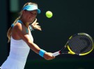 WTA Marbella: Azarenka y Begu finalistas; WTA Charleston: Wozniacki y Vesnina finalistas
