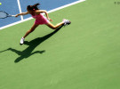 WTA Masters de Cincinnati 2011: Sharapova y Jankovic finalistas