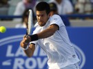 Torneo de exhibición de Abu Dhabi: Djokovic y Ferrer a la final tras arrollar a Federer y Nadal