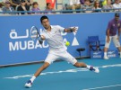 Torneo de Abu Dhabi: Djokovic gana a Ferrer  y es campeón, Nadal 3º ganando a Federer