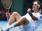 ATP Auckland 2012: David Ferrer retiene el título