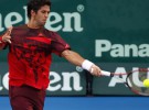 ATP Auckland 2012: Cuatro españoles en cuartos de final