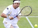 ATP Hertogenbosch: David Ferrer conquista el título