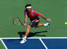 US Open 2012: Djokovic, Ferrer, Roddick y Del Potro ganan, Robredo se despide