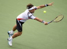 US Open 2012: Ferrer y Djokovic jugarán la segunda semifinal masculina