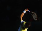 ATP Auckland: Ferrer-Monfils y Kohlschreiber-Querrey son la semifinales