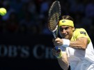Open de Australia 2013: Novak Djokovic a la final tras pasar por encima de David Ferrer