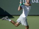 Masters 1000 de Indian Wells 2013: Del Potro elimina a Murray y jugará semifinales ante Djokovic