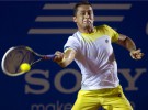 ATP Acapulco: Nadal-Almagro y Ferrer-Fognini, semifinales