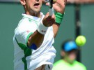 Masters 1000 de Indian Wells 2013: Djokovic aplasta a Tsonga y es semifinalista